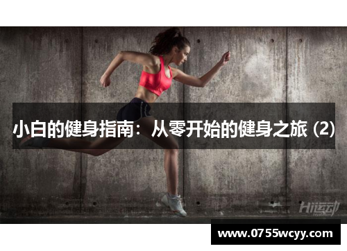 小白的健身指南：从零开始的健身之旅 (2)