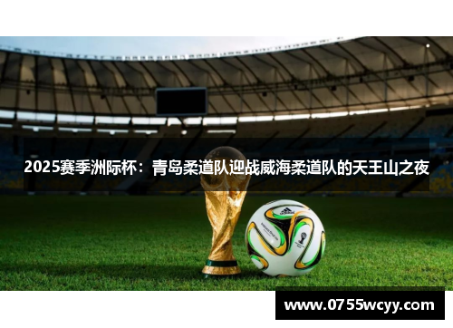2025赛季洲际杯：青岛柔道队迎战威海柔道队的天王山之夜